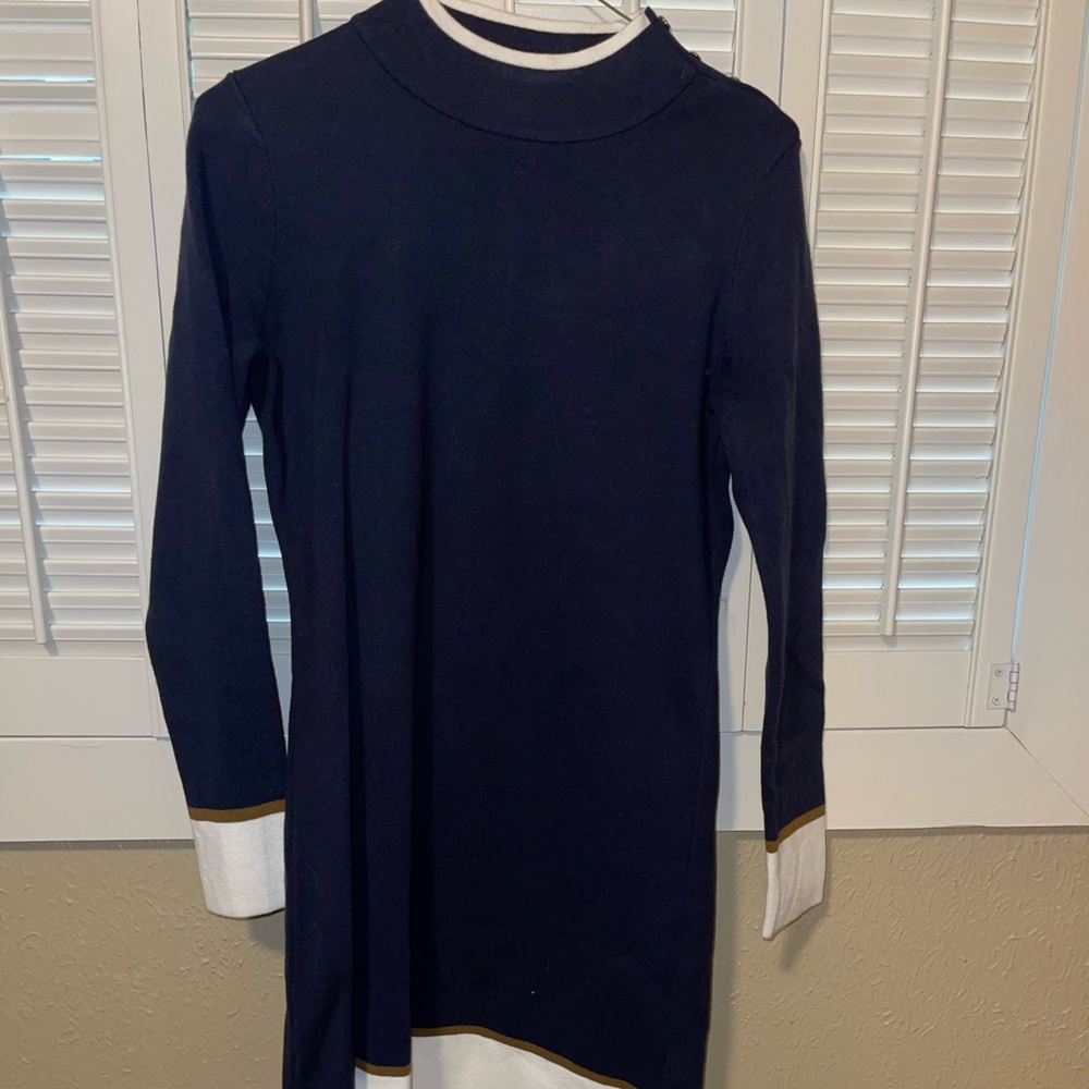 Ann Taylor sweater dress size medium petite